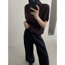 MMC高领针织衫女装秋季新款高级感韩系显瘦百搭短袖100羊毛衫毛衣