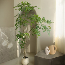 ����Gֲ�ܘ���;Gֲ�����҃ȿ͏d�٘�����L�Ҿ��bپGֲ���l