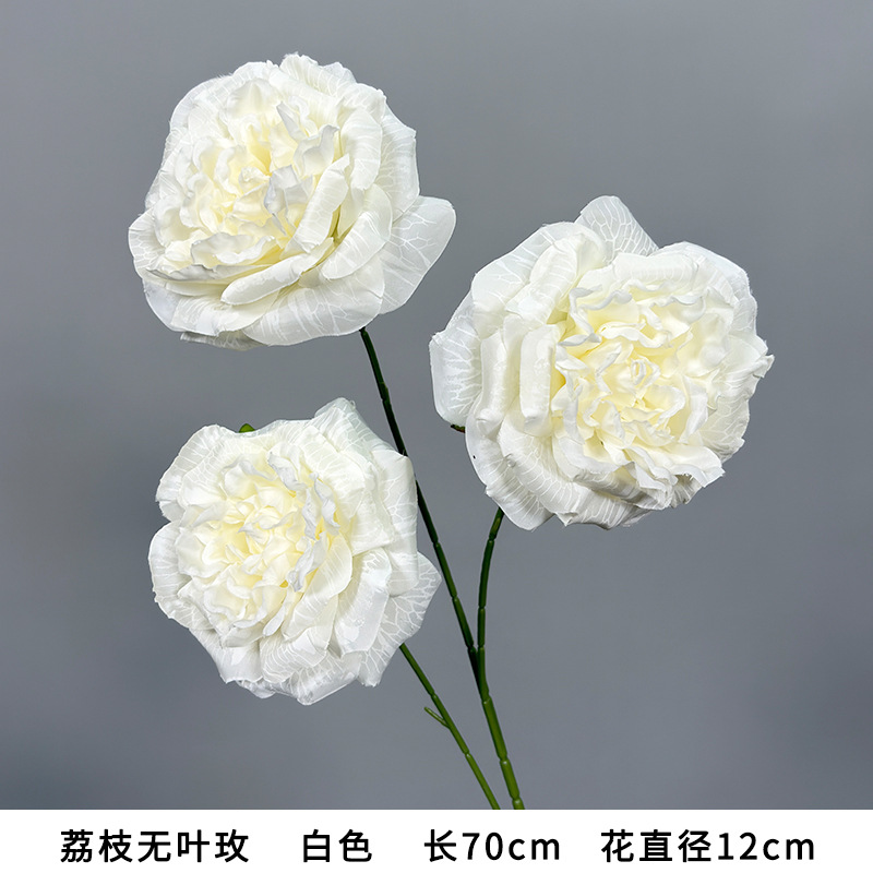 Lychee Leafless Rose White, 70cm long, 12cm flower diameter