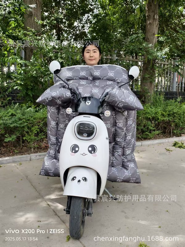 電気自動車の新しい冬用防風キルトは、防寒性、暖かさ、防水性、ベルベットの厚み、防風性を備えています。工場から卸売されています。|undefined