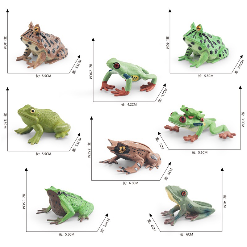 Amazonas simulación anfibio Rana modelo triángulo hoja muerta Rana ojo rojo árbol Rana Darwin Rana estática adornos