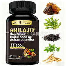 �F؛���]TK���R�d�羳����60��24��1ϲ��֥�z��SHILAJIT���Sֱ�N