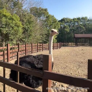 �Bֳ�����r�B����w�ɻ��ʸ� ���B�׻���������w���l ����N�r�B