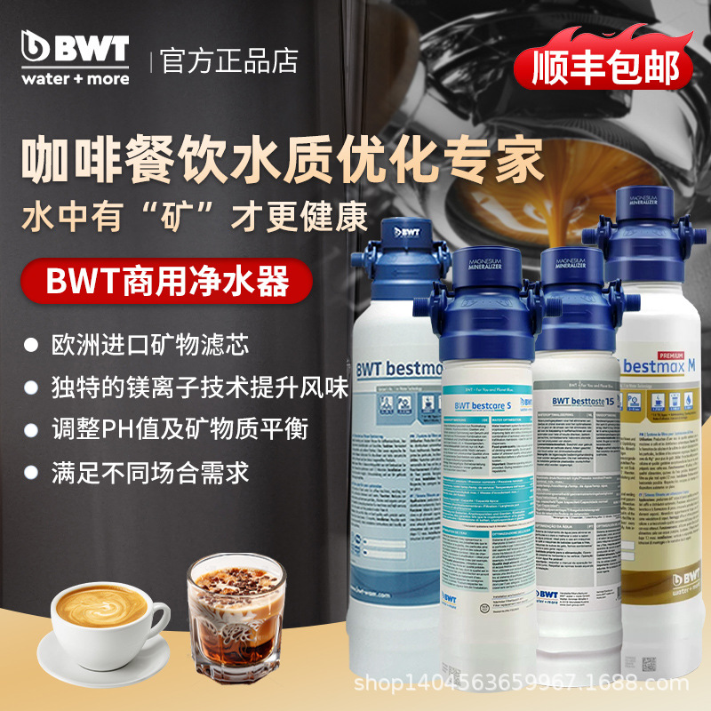 Bwt Water Purifier Filter Cartridge for Direct Drinking Water, German Ultrafiltration Water Purifier, Special for Coffee