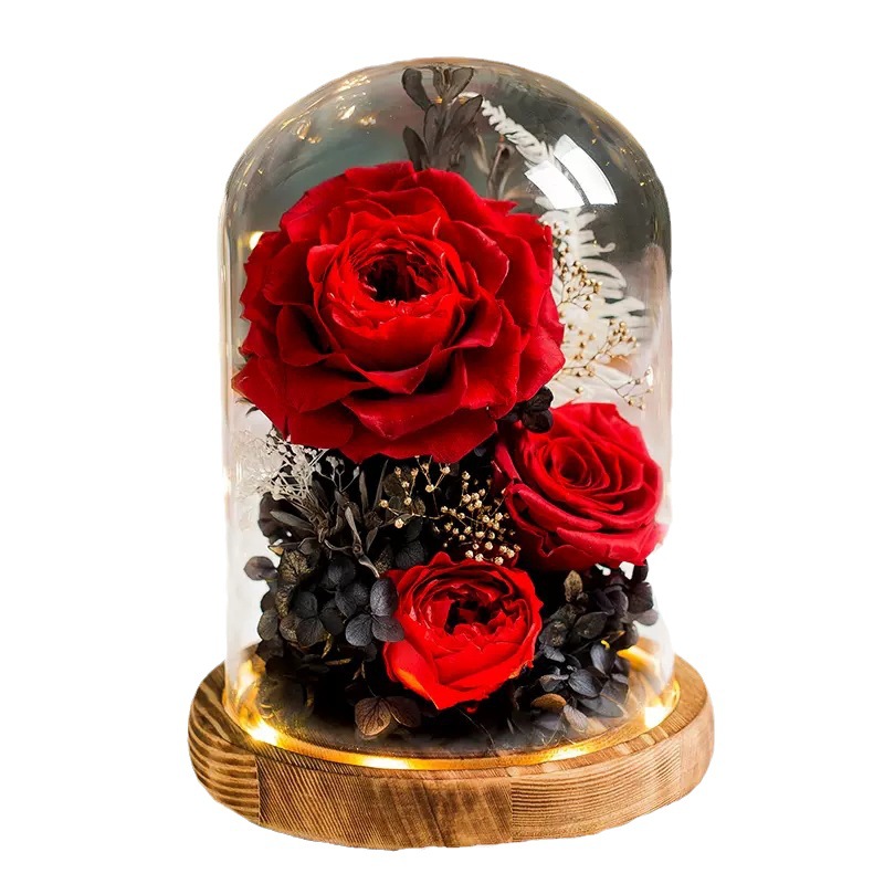 Rosa Eterna en Cúpula de Cristal con Caja de Regalo, Regalo de Flores Reales para el Día de San Valentín, Adorno de Alta Gama con Flor Eterna