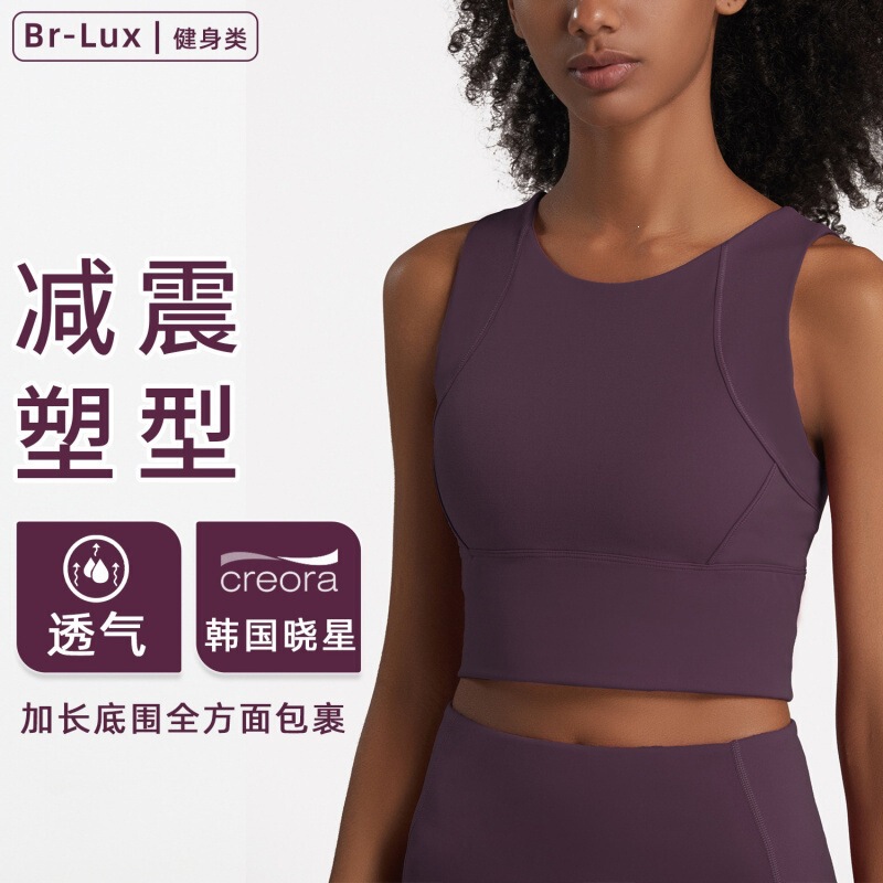 Aido European and American Style Shock-Absorbing Sports Vest for Women with Large Busts, Gathering and Supporting Side Breasts, Yoga Bra, Running Fitness Wear, Underwear