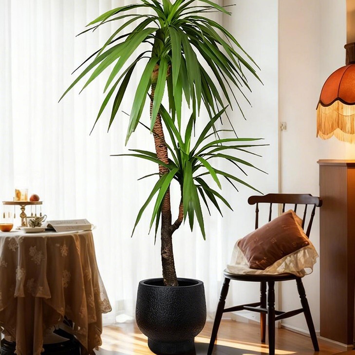 Artificial Dragon Blood Tree High-End Luxury Living Room Floor-Standing Large Indoor and Outdoor High-Quality Decorative Fake Tree Dragon Blood Tree