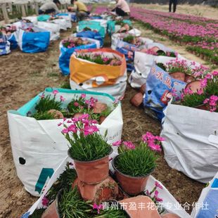 �޸����ܚWʯ���� С�^���@�G�����̿�������ʯ�� С���Wʯ����