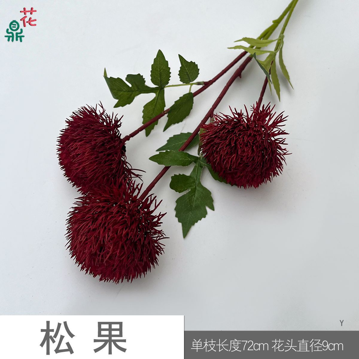 솔방울 Y 와인 레드