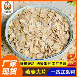 新货批发麦片纯燕麦片散装冲泡即食早餐无蔗糖代餐熟燕麦大片压片