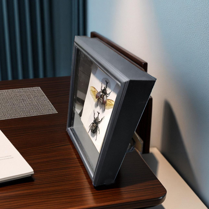 European style black real glass hollow 4cm three-dimensional dried flower insect photo frame diy beetle display frame butterfly specimen frame