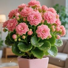 ϡ���L�ۻ���������Դ��ذ��ļ��_���������҃��⻨��ֱ�N