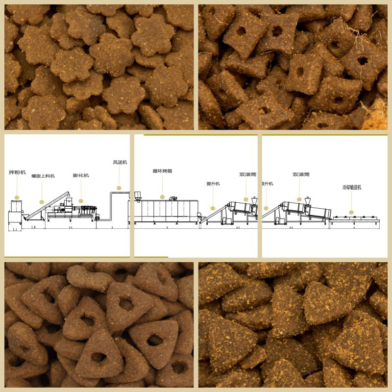宠物饲料膨化机 小型狗粮，猫粮， 鱼饲料颗粒膨化机