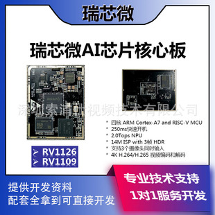 Ruixin micro RV1126/RV1109AI chip core board mainboard development board replace Haisi solution