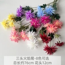 3�^����շ��滨 ��c���Ų廨���зצ�տ羳���Q�ٻ� �S�����l