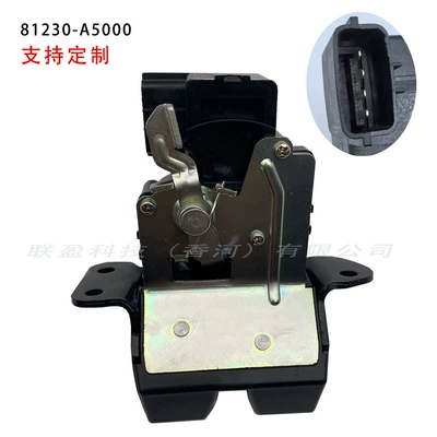 81230A5000 Is Suitable for Korean Hyundai I30 Elantra Kia Ceed Tailgate Lock Central Locking System (Central locking)