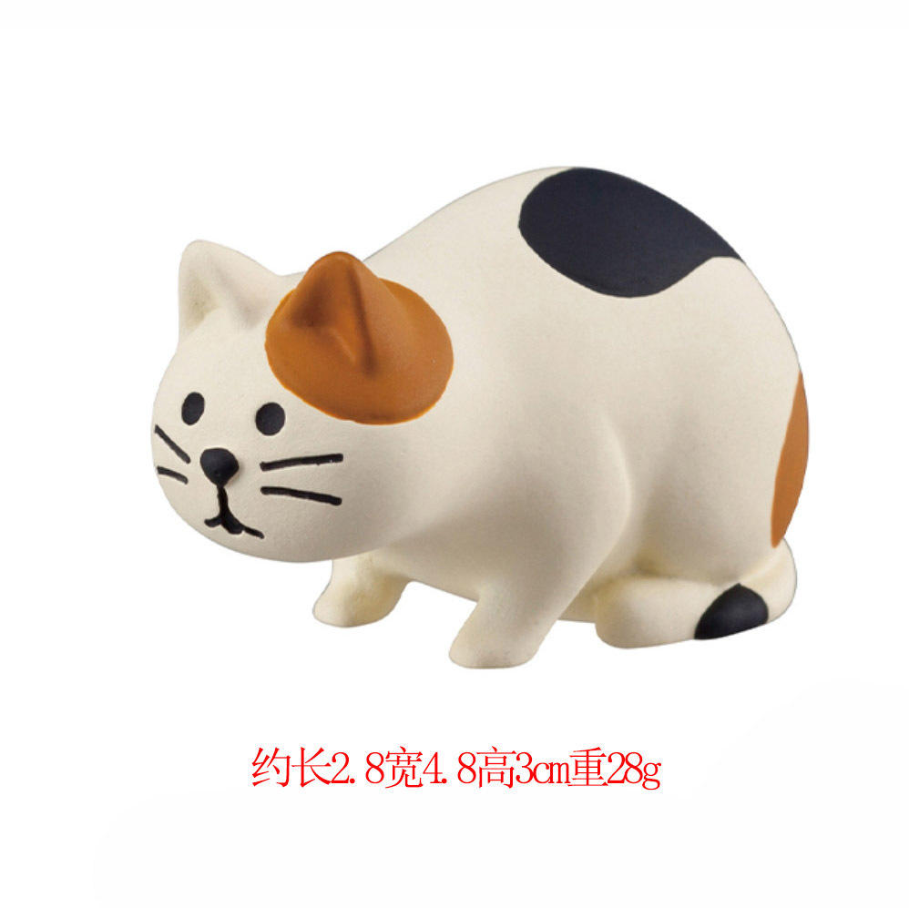 고양이를 관찰하다