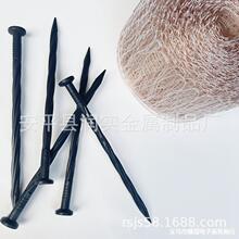 ��̖���ξW �����~�W  ᄾ����s�~�z��Һ�^�V�W ��΁ţ�~�z�W