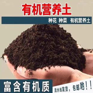 30�����I�B���B���Gֲͨ���ͷ��������N�˼����ЙC���໨������