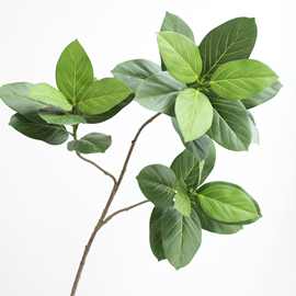 仿真高山榕富贵榕叶子黄金榕孟加拉榕树枝大枝绿植落地盆栽插花叶