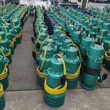 矿用隔爆型潜水排沙电泵井下防爆排污泵BQS165-30-22/N