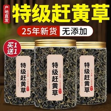 sSݹٷŞƷĴAҰؼșBoB