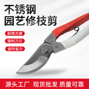 �@����֦�����ձ��Ӻ�䓏��������޼�����֦�Ɉ@ˇ��֦��S�����l