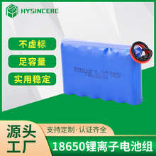 LED照明18650锂离子电池组5200mah三元材料照明电池6S2P