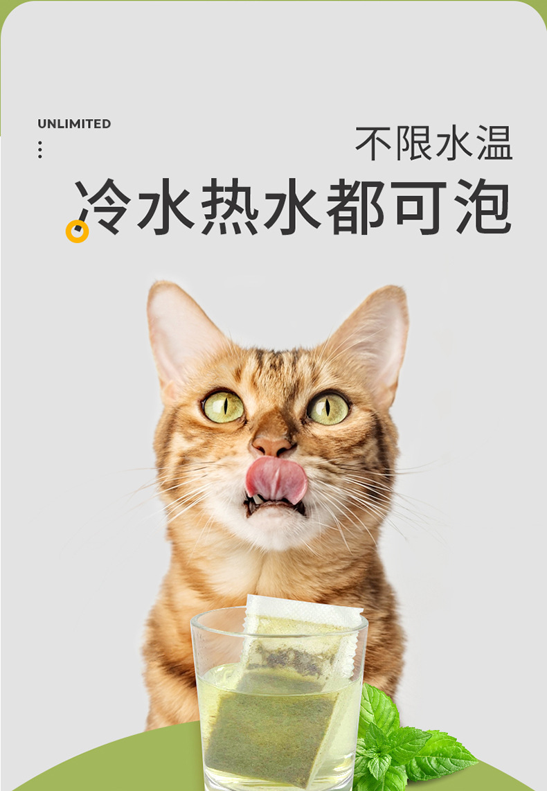 猫薄荷茶-详情_09.jpg