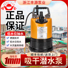 浙江Fengyuan Zengjin乾燥低水位インテリジェント自動浄水水中ポンプ小型家庭用地下室ポンプ