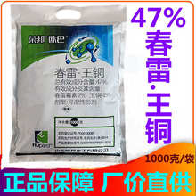 47%����ù�����~�~ù��˪ù���������Խǰ߲��߲��~ù���������~