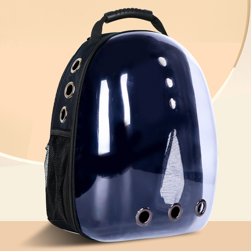 -재고에서 빠른 배송-[클래식 강화]투명 블랙-저렴한 추천!