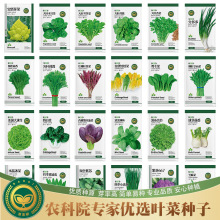 ���r���~��������С�[�uë������֥������K�����׷N�߲˷N��