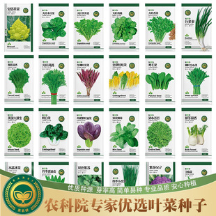 ���r���~��������С�[�uë������֥������K�����׷N�߲˷N��