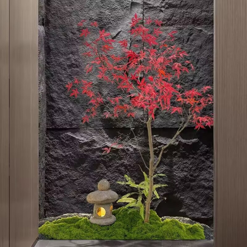 B7D9DBDB3E49FA602847D463A5CD0E