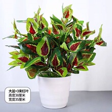 ����ֲ��پGֲ�辰�Ʒ�W�ɿ͏d���ҾƵ�����[���bG�}����