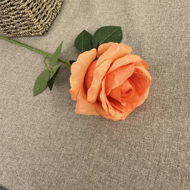 Single Anna Rose Orange