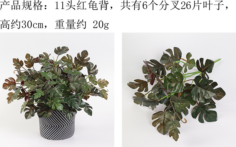 详情图