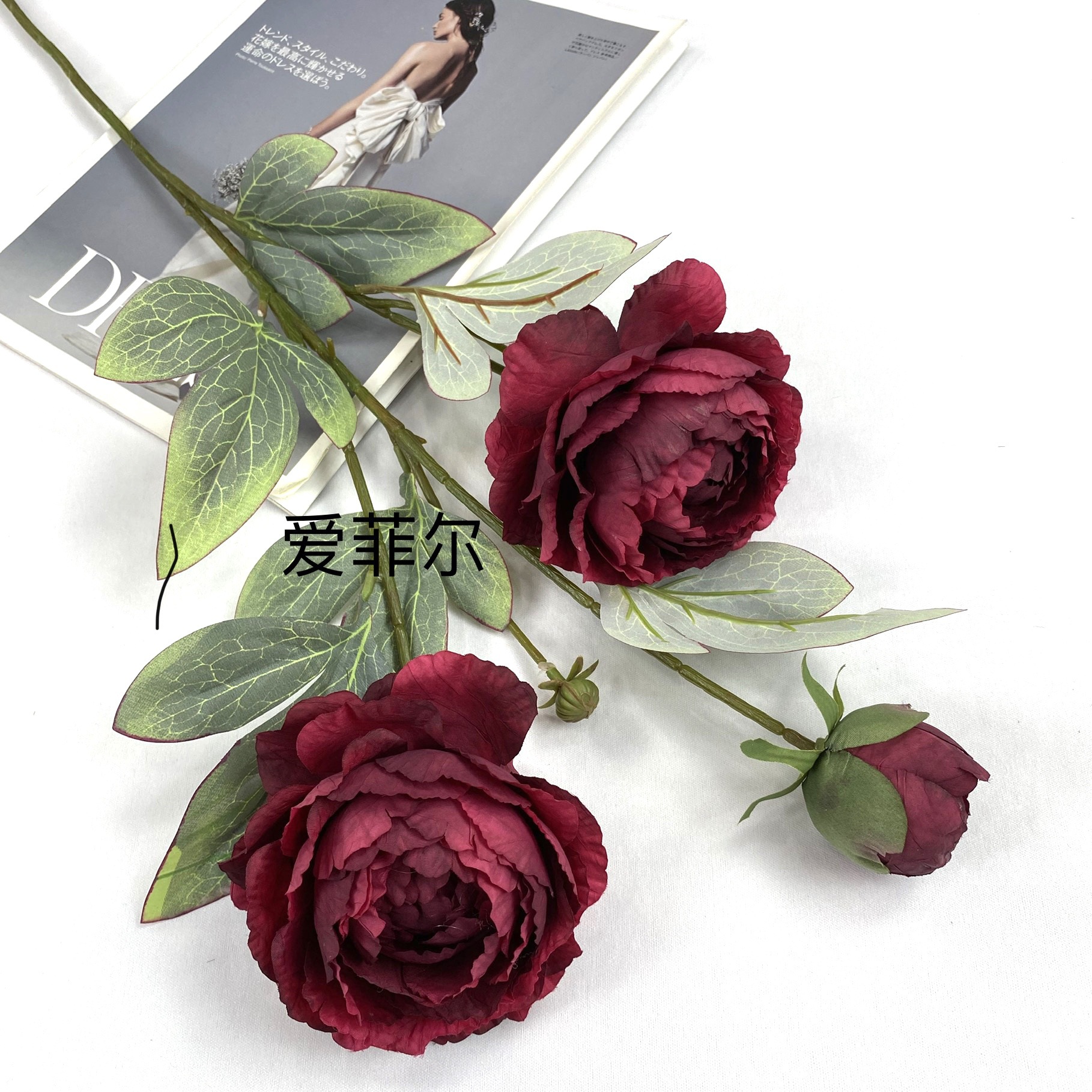 d78b15fd35cbbc20f2c465a0a32c9b