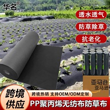 跨境定制PP无纺布防草布 果园保湿除草布 生态可降解园艺覆盖地布