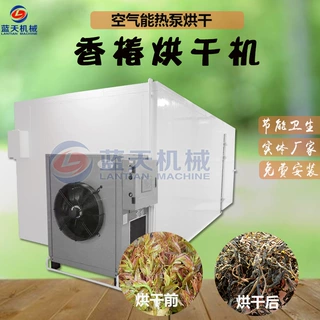 大型热泵香椿烘干机 空气能香椿芽脱水烘干机 春苗红椿干烘干设备