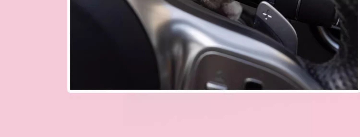 2025 New Model Car Turn Signal Light Dog Plush Toy Dashboard Decoration Doll Car Interior Decoration Ornament for Women