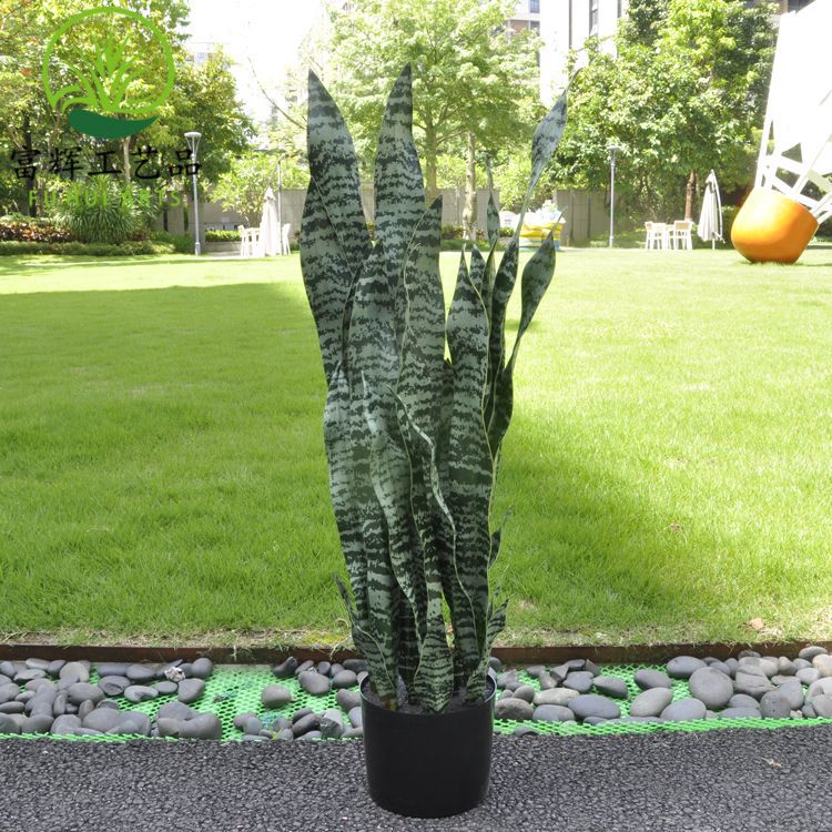 仿真沙漠金邊虎皮蘭多肉龍舌蘭綠植盆栽組合造景花卉道具擺件批發