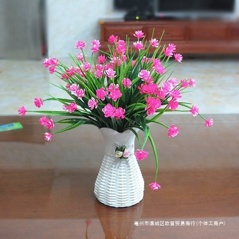 Plastic realistic decorations for living room