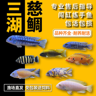 ���������~�Ꭷ�^�p�~��С�͵�ˮ���B�ͻ��җ��R��̹���s���~���w