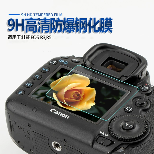 Canon EOS R3/R5