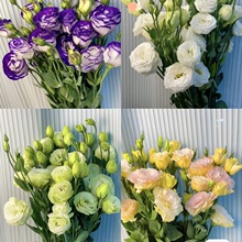 ����r��ֱ�l�B����۹��҃�ֱ�������͏d�r���k���Ҳ廨�[���л�