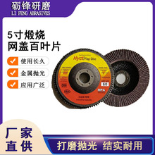 SֱٱĥP5џWw~Ƭcĥƽɰ݆