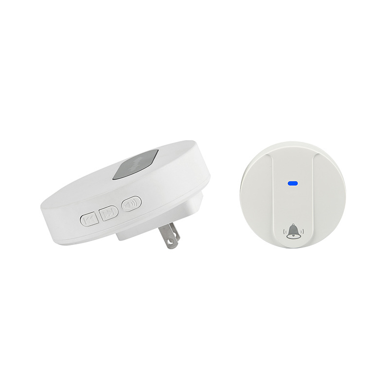 T10 미국 규격(국내 일반) 화이트 1개 1개