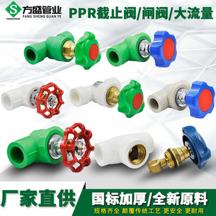 Ppr Shut-Off Valve Ppr Valve Ppr Lifting Copper Shut-Off Valve Ppr Water Pipe Pipe Fittings Accessories Joint